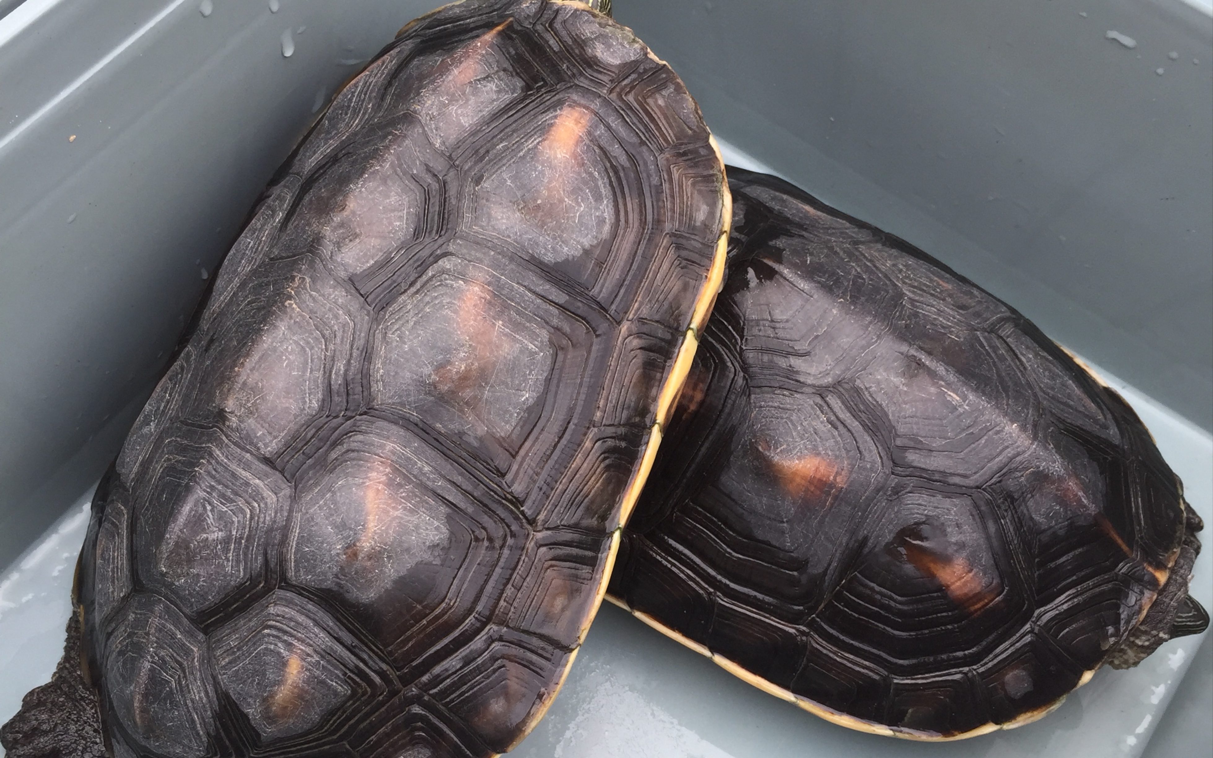 爱游戏官方网站-1k~?深?9Z鐍龓?磏篽臸T玘訙胀?D洎漁峇pT#鳜|恘垐嶩S)篹賯的简单介绍